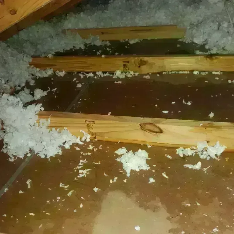 Attic Water Damage in Bridgton, ME